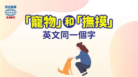 撫摸|撫摸的英文單字，撫摸的英文是什麽